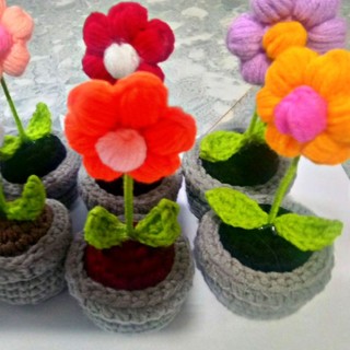 Chậu hoa 6 cánh len handmade