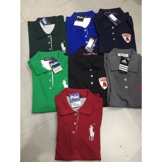 Áo polo nữ sz M.