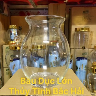Mẫu Bầu Dục Lớn BDN Chậu, Chân Ly, Bình, Hồ Bễ, Ống,Thố ,Bèo Thủy Tinh Trồng Cây Thủy Sinh và Nuôi Cá