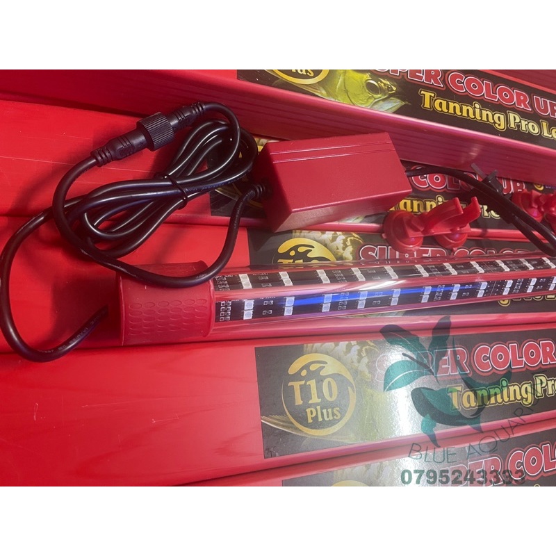 Đèn T10 Plus dành cho cá rồng huyết long, cá đĩa, đèn đỏ cá không đỏ nước
