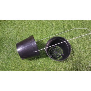 Combo 10 chậu đen trồng lan phi 16cm bít lỗ.