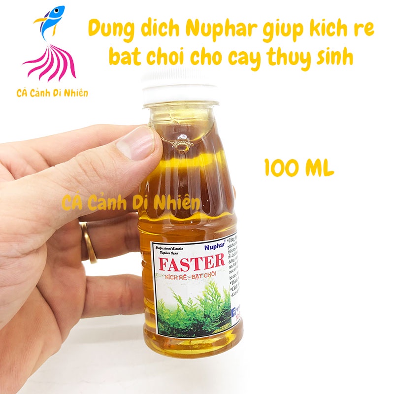 Nuphar - Faster giúp kích rễ cây, thúc đẩy tăng trưởng cho cây hồ cá thuỷ sinh