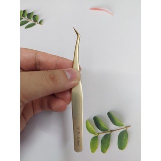 Nhíp hoa hồng đen của đức