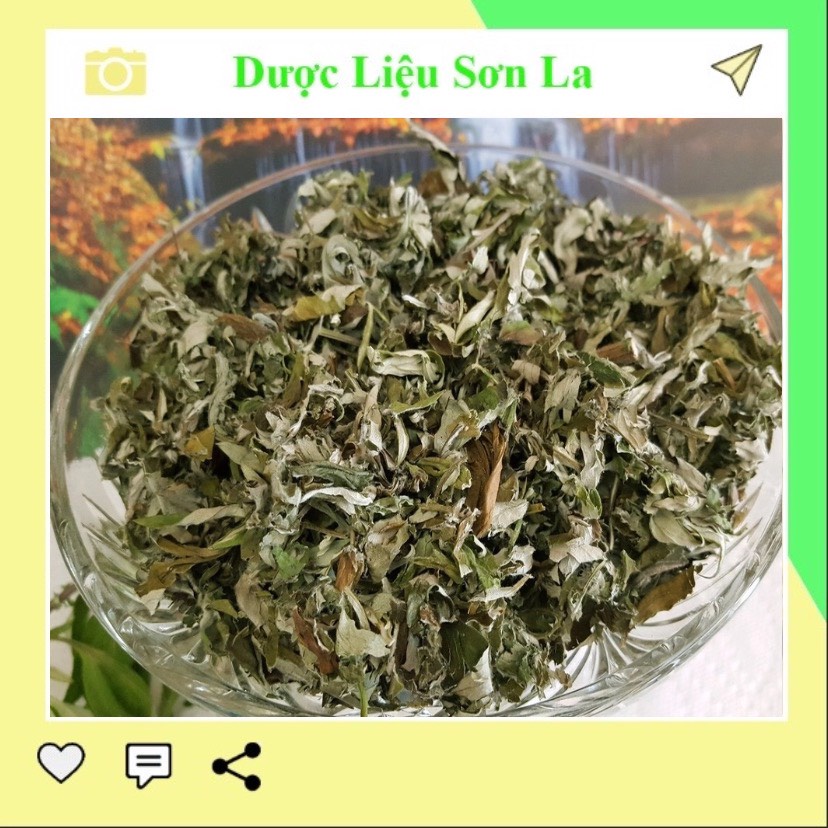 Ngải Cứu khô 1kg