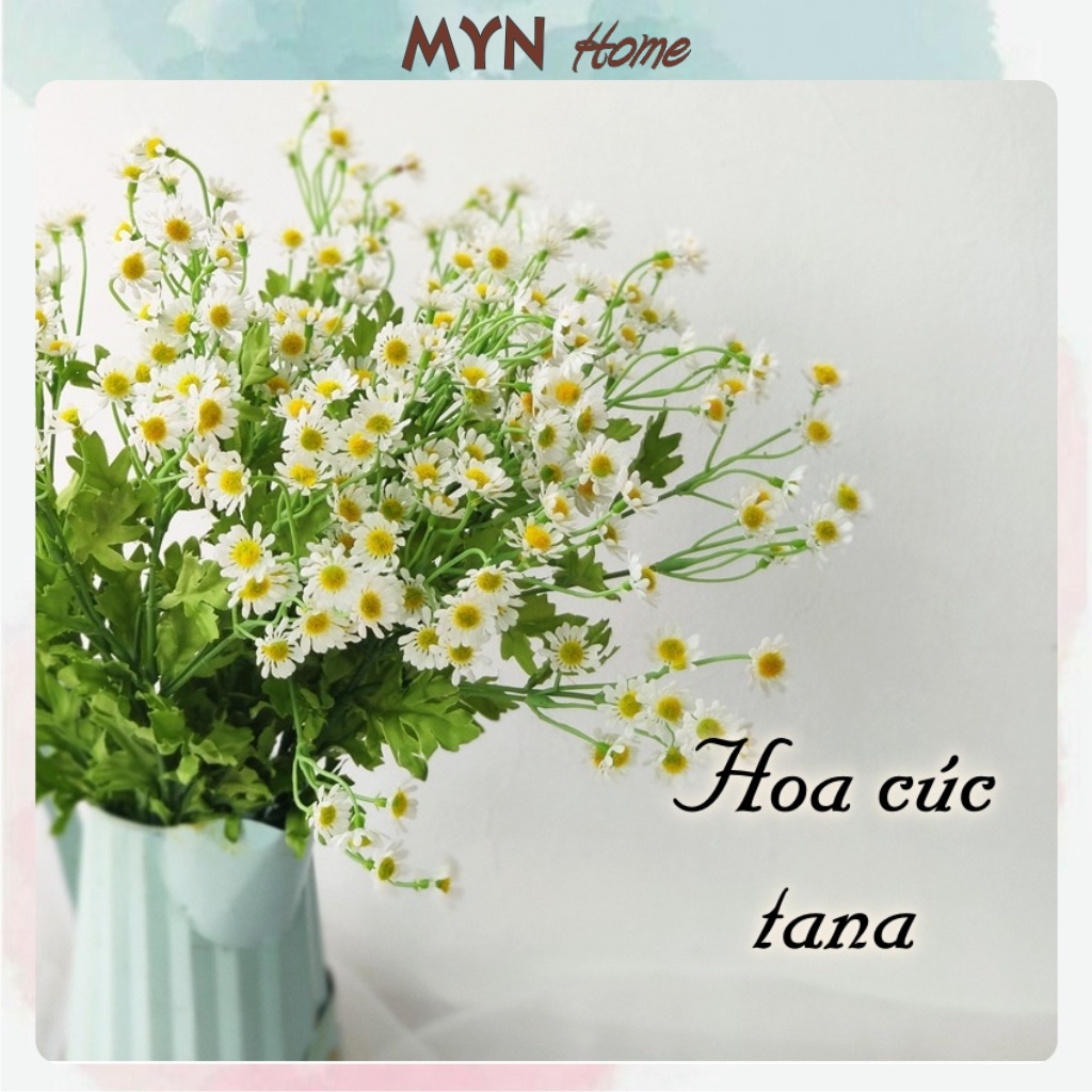Hoa giả cúc họa mi, cúc tana, hoa nhí trang trí bằng nhựa decor chụp ảnh MYN Home