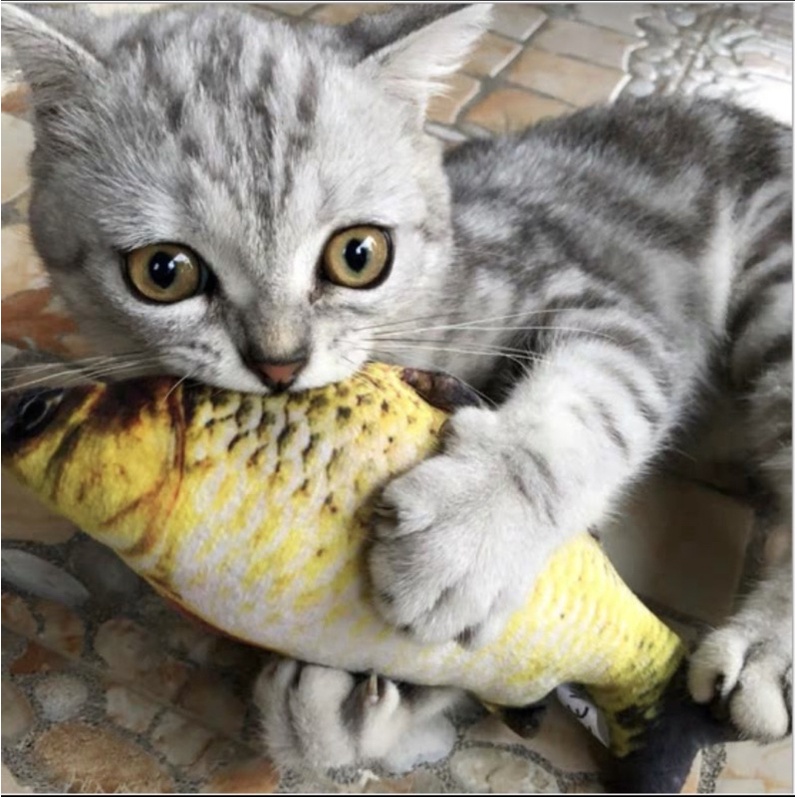 Đồ chơi cá nhồi bông