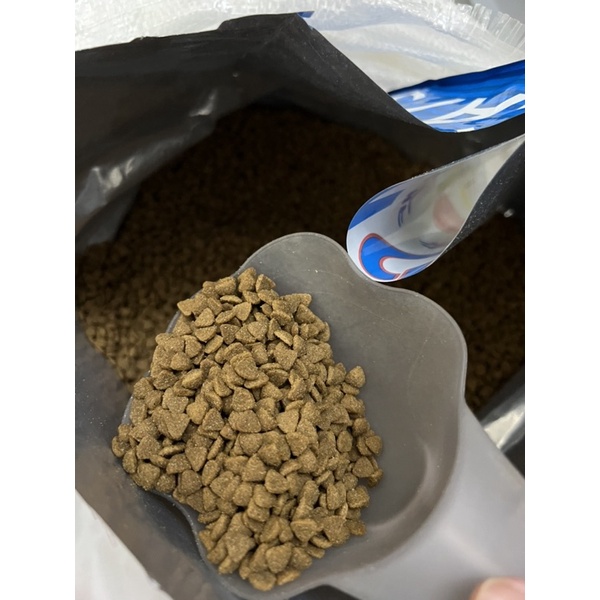 HẠT CAT'S ON CHO MÈO - TÚI 1KG CHIẾT