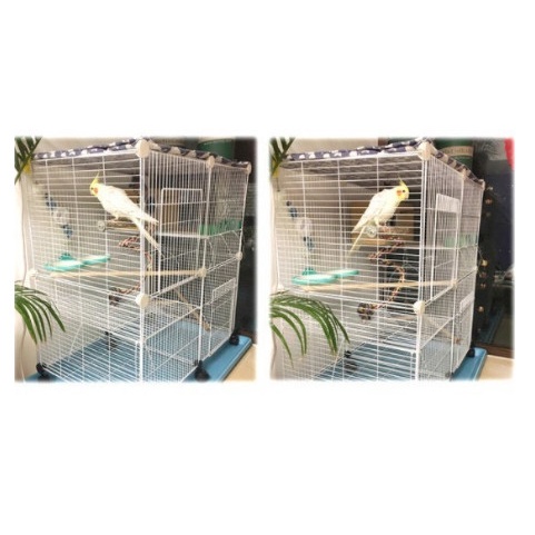 COMBO Chuồng BỌ Chim, Hamster, Chó Mèo - Chuồng Lưới Đa Năng Tự Lắp Ghép