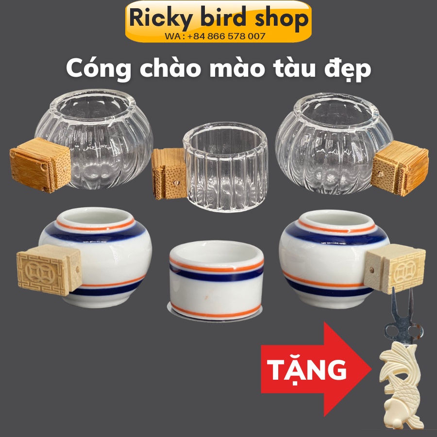 Cóng Chào Mào, Cóng Chim Chào Mào Tàu Đẹp - Tặng Xiên Trái Cây Cho Chim