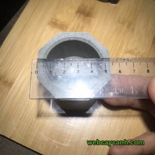 [Rẻ Nhất HN]Chậu xi măng mini trồng sen đá vỉ