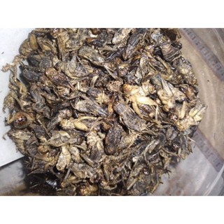 DẾ SẤY KHÔ 1KG THỨC ĂN CHO NHÍM KIỂNG HAMSTER SÓC CÁ RỒNG CHIM MÈO.