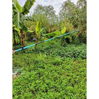 Gác Cần Woding 20H săn hàng