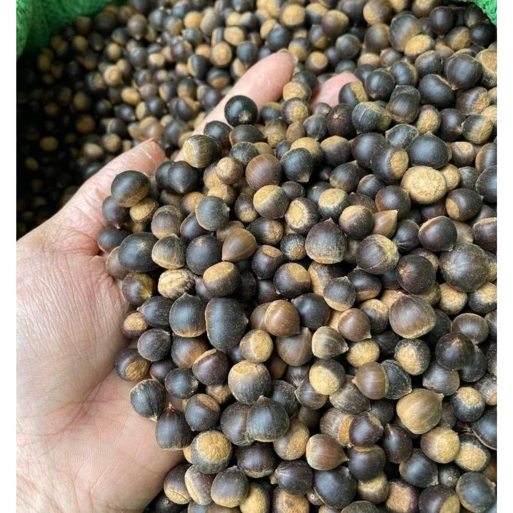 Hạt dẻ rừng loại 1 - Hạt rẻ rừng, hạt dẻ thóc vùng núi cao Tây Bắc thơm ngon, chuẩn vị. Hạt giẻ, hạt dẻ thóc Lai Châu