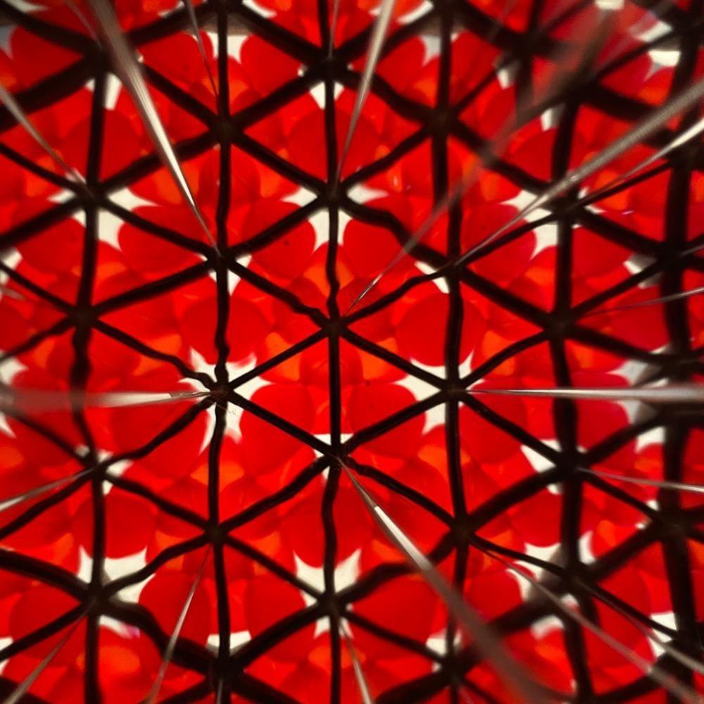 Kính Vạn Hoa SUSANS Đồ Chơi Bằng Gỗ Thú Vị Cho Bé