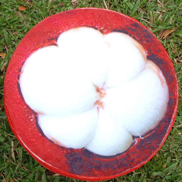 Đệm ngồi hình trái cây, đệm lót ghế ngồi, đệm ngồi tròn, kenhome