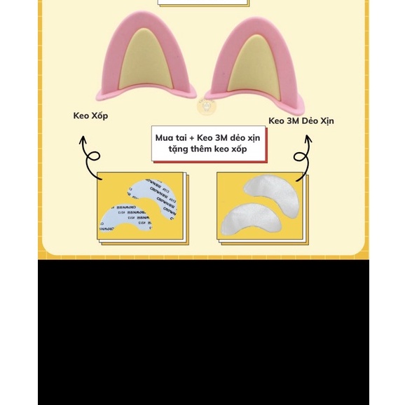 Tai mèo gắn nón bảo hiểm