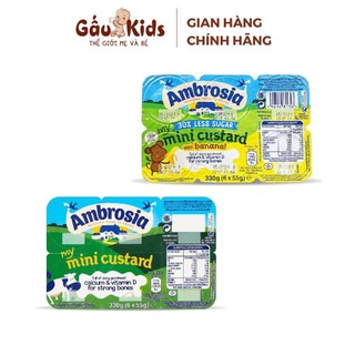 Váng sữa ambrosia nội địa anh cho bé 6 tháng - gaukids