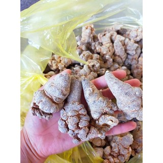 Củ  tam thất Bắc