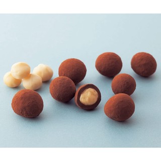 Chocolate nhân hạt Macadamia – Macadamia Chocolate