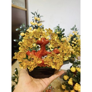 Cây đá thạch anh chiêu tài lộc