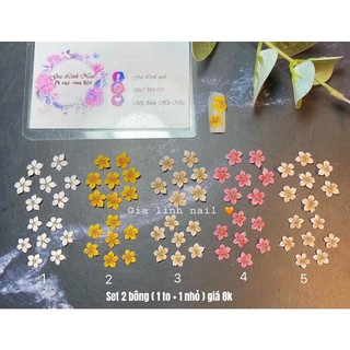 Hoa bột nail cúc nhỏ
