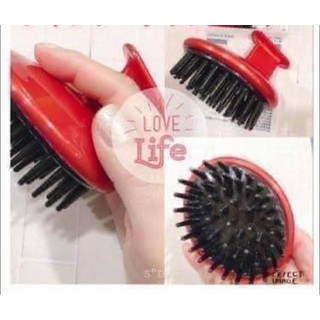 Lược gội massage da đầu Tsubaki