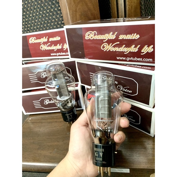 Bóng cong suat 300B GV