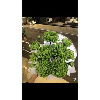 Set hoa cúc giấy nhún