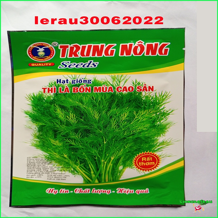 Hạt giống thì là hạt giống rau thơm GIONGHATRAU sinh trưởng khỏe gói 20gr