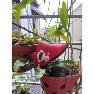 Bốt sz 21-30