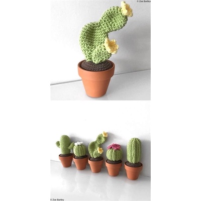 Xương Rồng Móc Len MiNi