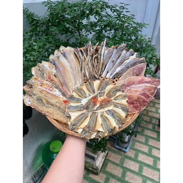 SET KHÔ mực, cá mối, cá đù, cá lưỡi trâu, sùn sịn, chỉ vàng