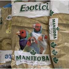 Hạt trộn cho chim bảy màu. Xuất xứ Ytalia. 1kg 70k