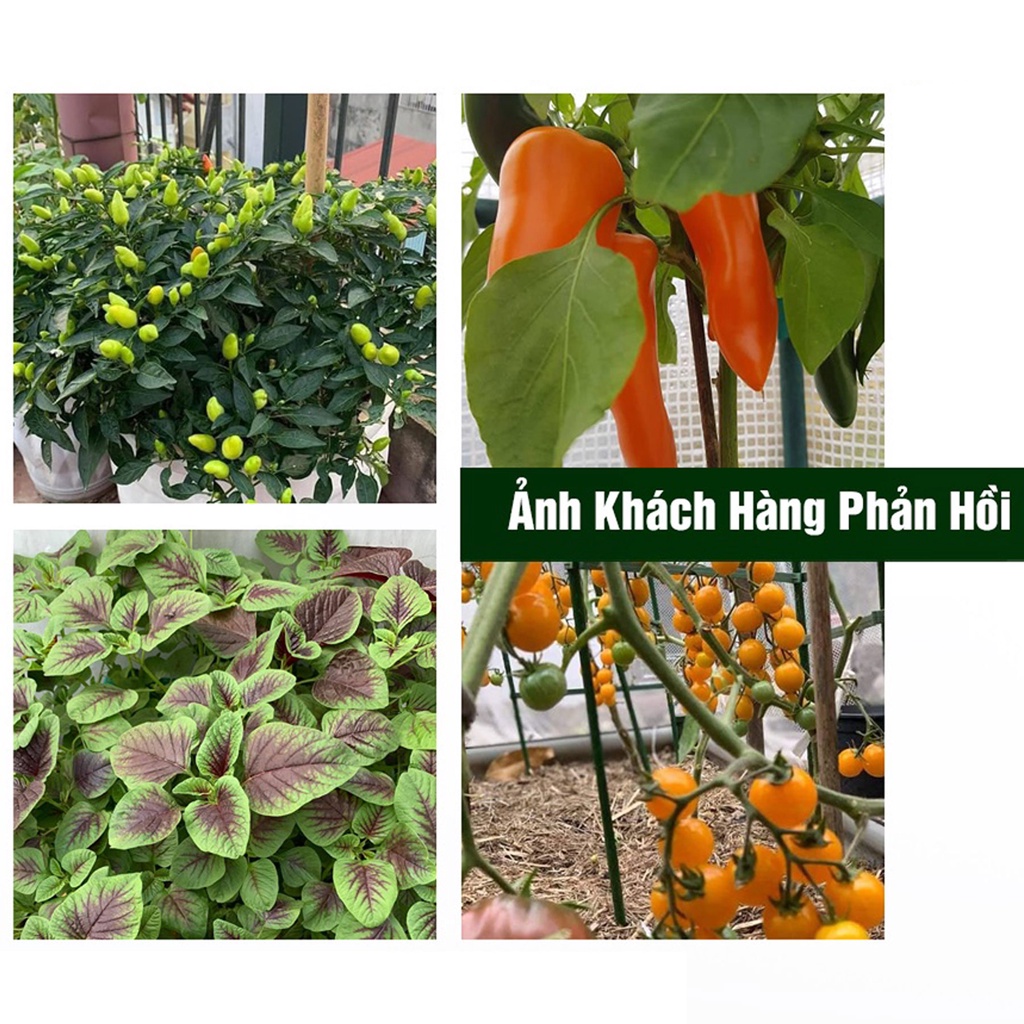 Phân bón hữu cơ cho cây ăn trái, bổ sung nấm trichoderma, nuôi trái, căng mọng 1kg - h2t farm