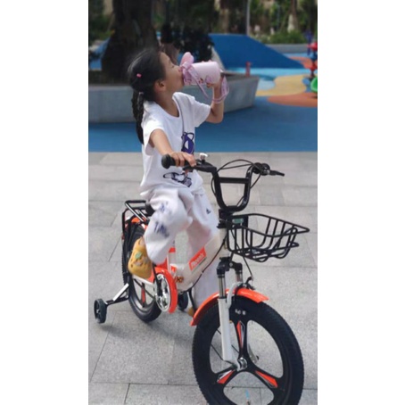 Xe Đạp  Gấp Thể Thao Phoenix Đủ Size Người lớn + Trẻ: 16,18,20,22inh