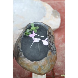 chậu đá tự nhiên