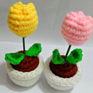 CHẬU HOA TULIP LEN HANDMADE