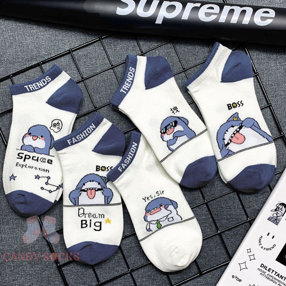 Tất nữ vớ nữ cổ thấp, Set 5 đôi tất nữ phong cách Hàn Quốc, co dãn 4 chiều, chất liệu cotton Hàn cao cấp TN-096