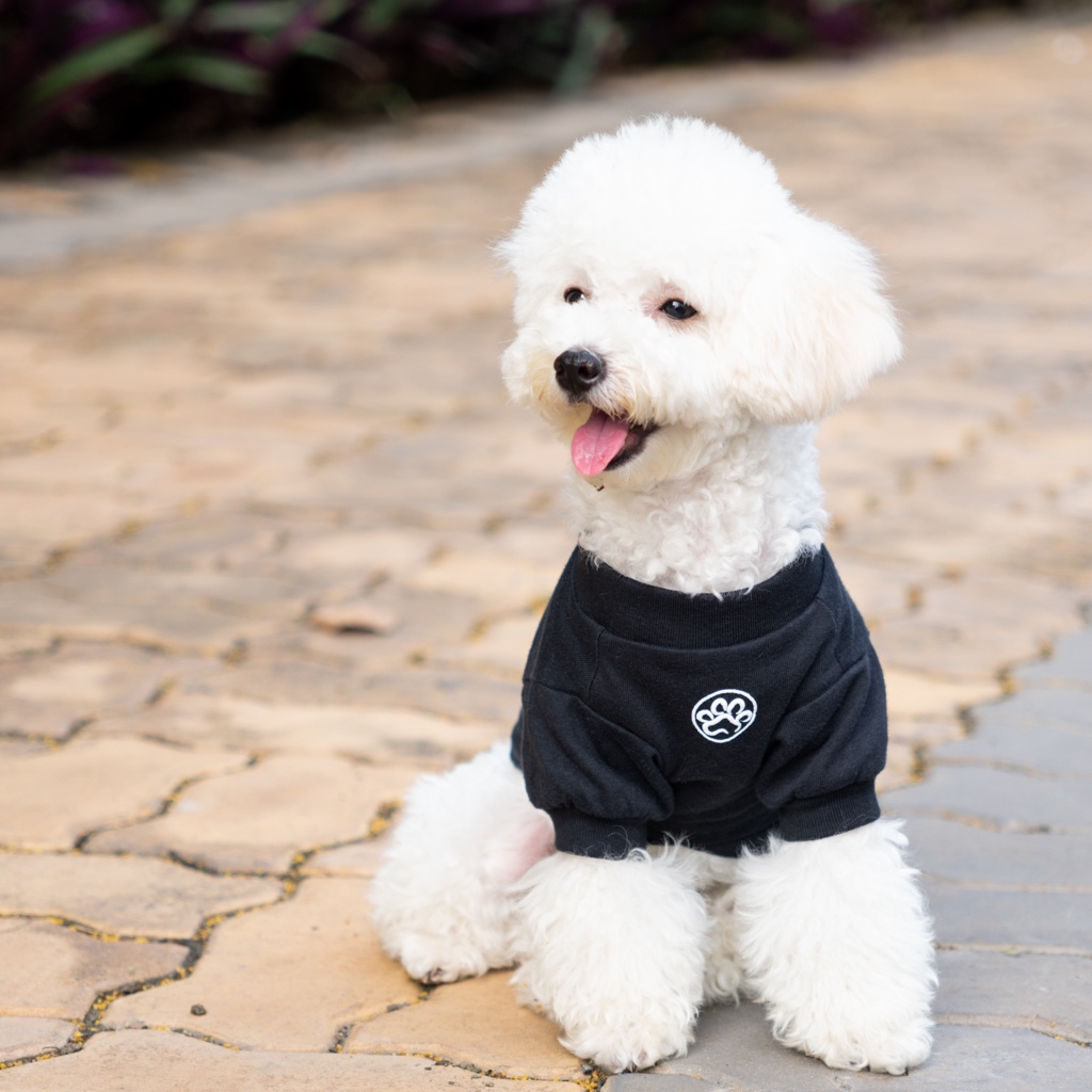 Áo cho chó Pawy Classic Đen - Classic Dog T-shirt Black