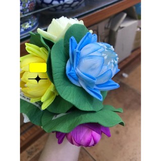 Hoa Sen ,  hoa sứ, thả nước đủ loại