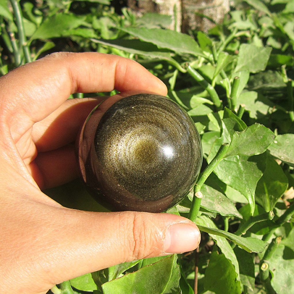 01 Bi Golden Obsidian Extra Viên Đá Đen Ánh Vàng