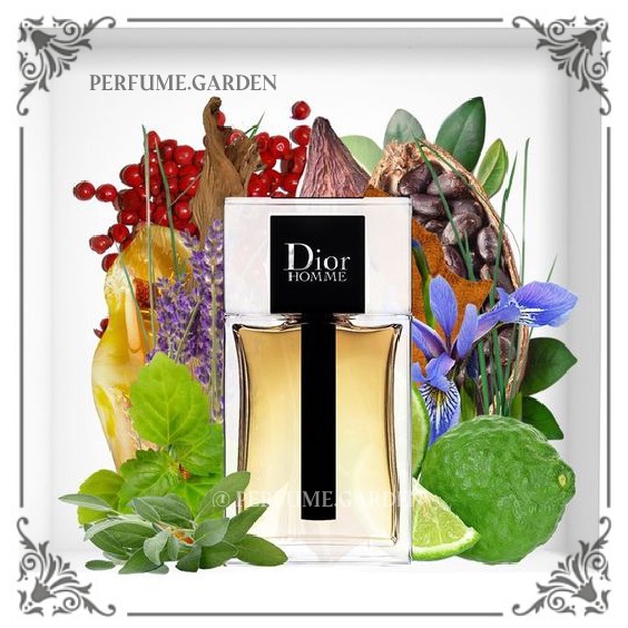 🅖🅐🅡🅓🅔🅝 ┊ Nước hoa Nam Dior Homme EDT 5ml/10ml/20ml