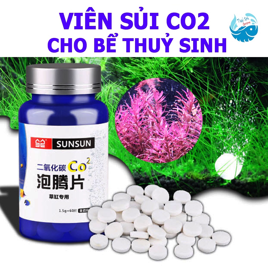 Viên sủi CO2 cho bể cá thuỷ sinh giúp cây thuỷ sinh phát triển tốt