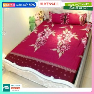 Bộ Ga Gối 3 Món 1m4x2m cotton poly,sẵn hàng-hoa trà mận