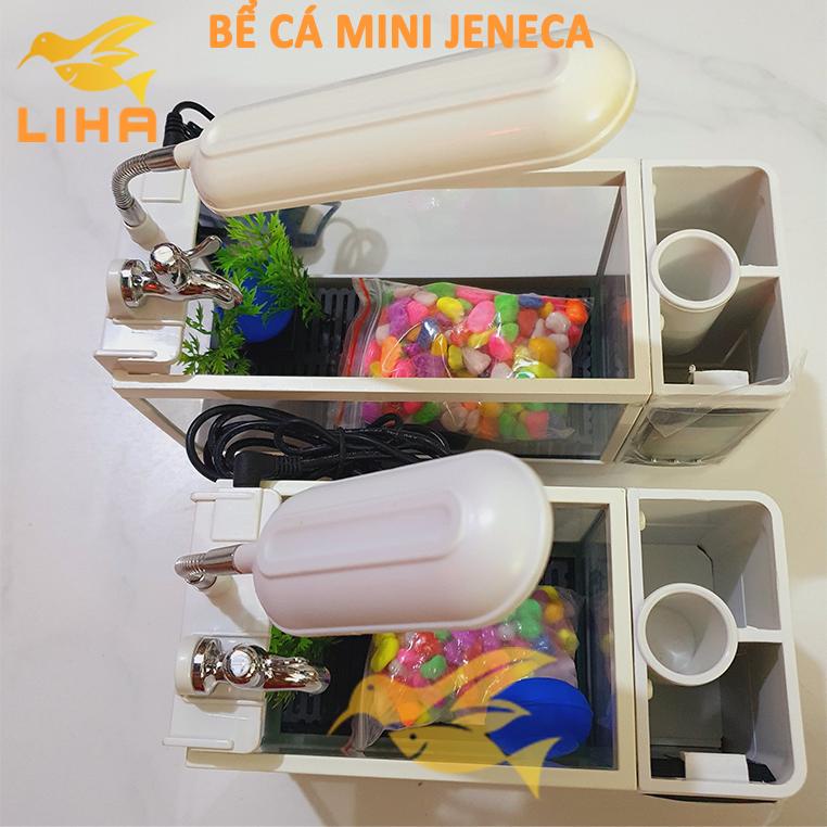 Bể Cá Mini Để Bàn Jeneca TG Kèm Đồng Hồ - Bể Cá Để Bàn Siêu Đẹp