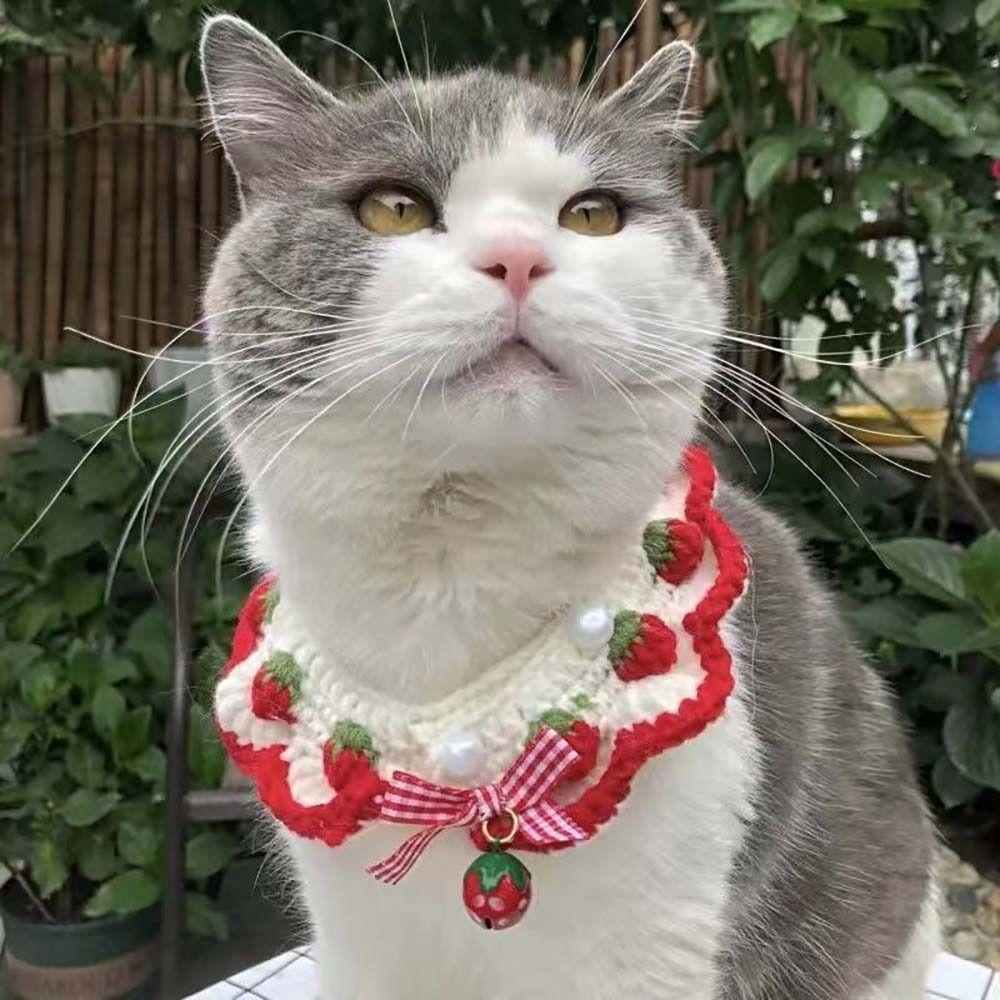 [COD] Vòng Cổ Len Đan Dễ Thương Dành Cho Thú Cưng