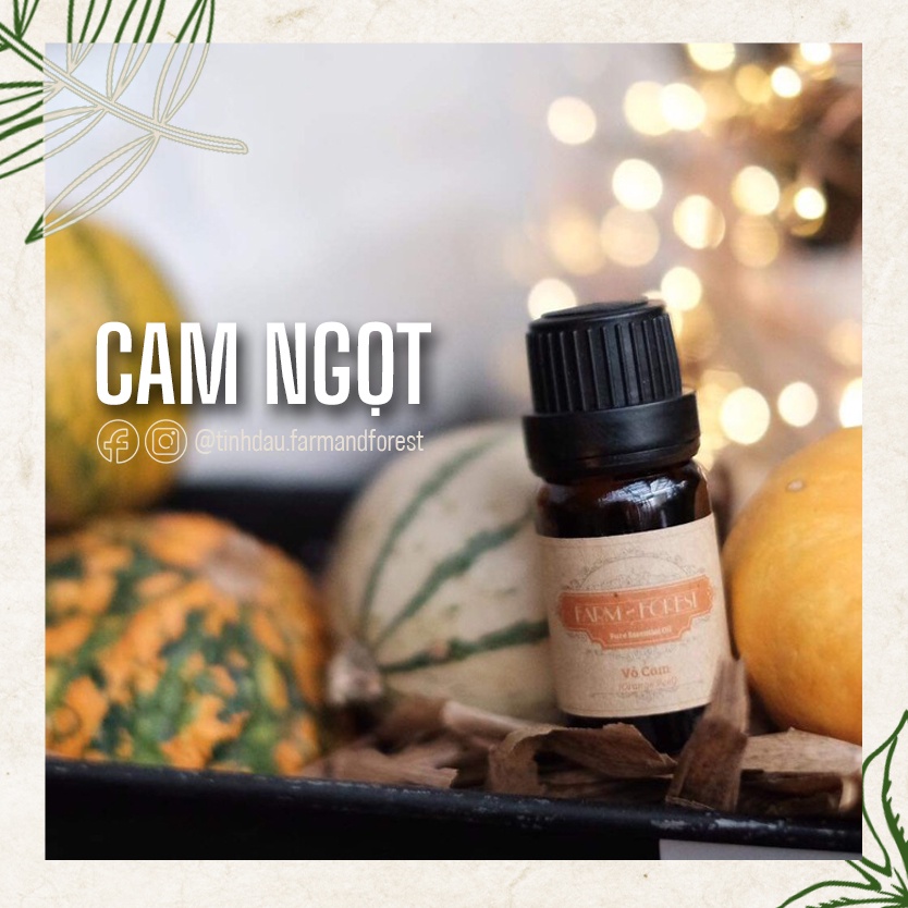 Tinh Dầu Cam Ngọt 10ml, Vỏ Cam Tinh Dầu Thiên Nhiên Nguyên Chất, Farm & Forest, Thư Giãn, Khử Mùi, Sảng Khoái, Tỉnh Táo