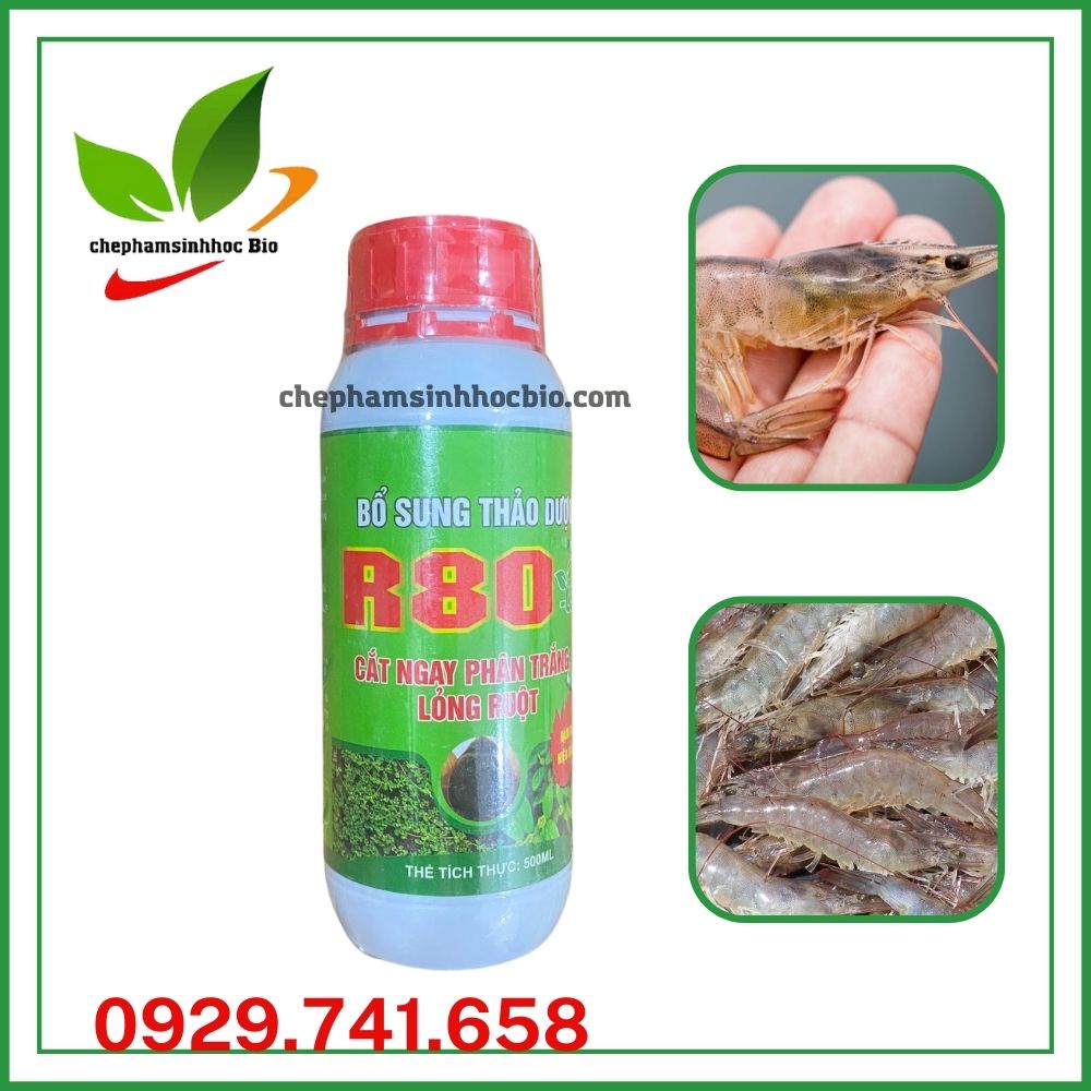 Bổ sung thảo dược R80. Phòng bệnh phân trắng, lỏng ruột, đường ruột đứt khúc. Chai 500ml