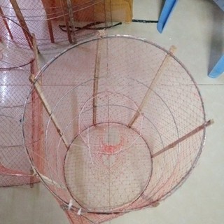 2 cái Lờ đặt cá sặt, cá phi, tôm, lươn...