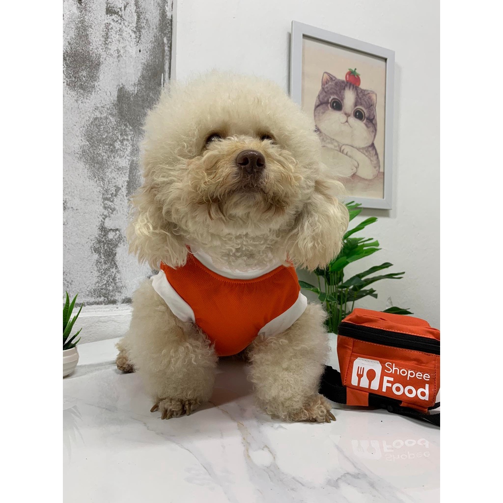 Áo giao hàng cho thú cưng chó mèo ngộ nghĩnh kèm balo